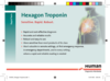 ProductCard_Hexagon_troponin_print_2020-07_EN.PDF