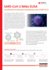 Flyer SARS-CoV-2 NAbs ELISA (ES)