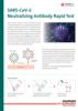Flyer SARS-CoV-2 Neutralizing Antibody Rapid Test (EN)