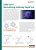 Flyer SARS-CoV-2 Neutralizing Antibody Rapid Test (ES)